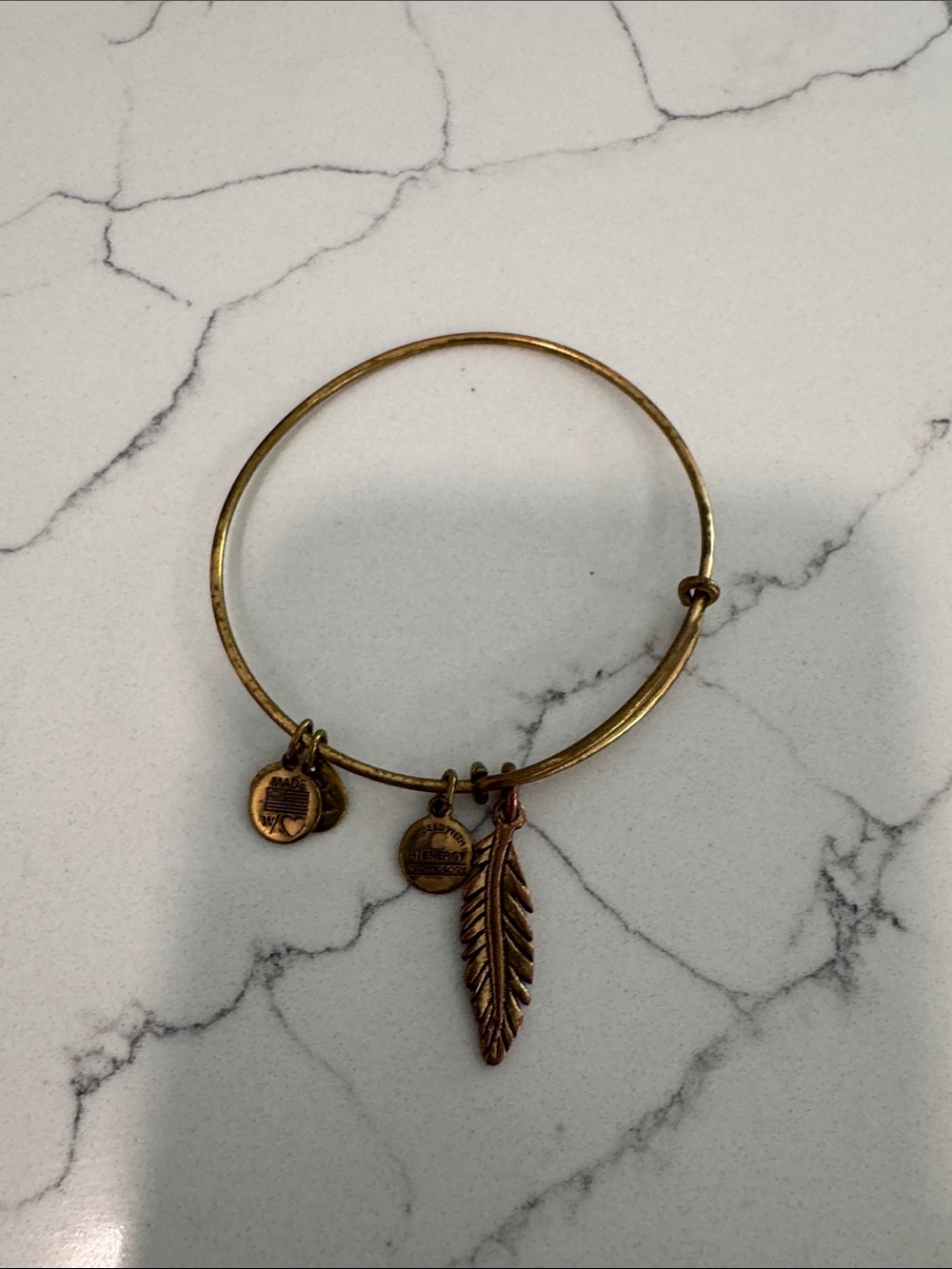 Alex and Ani Gold-Tone Feather Charm Adjustable Bangle
